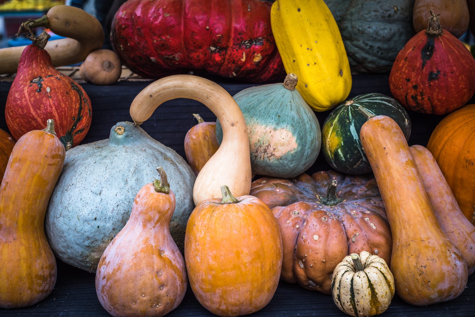 Comment reconnaître les courges non comestibles ? Néonutrition